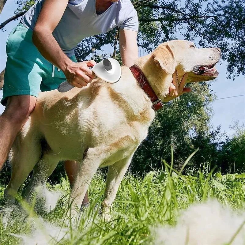 Brosse Auto-Nettoyante pour Chien et Chat