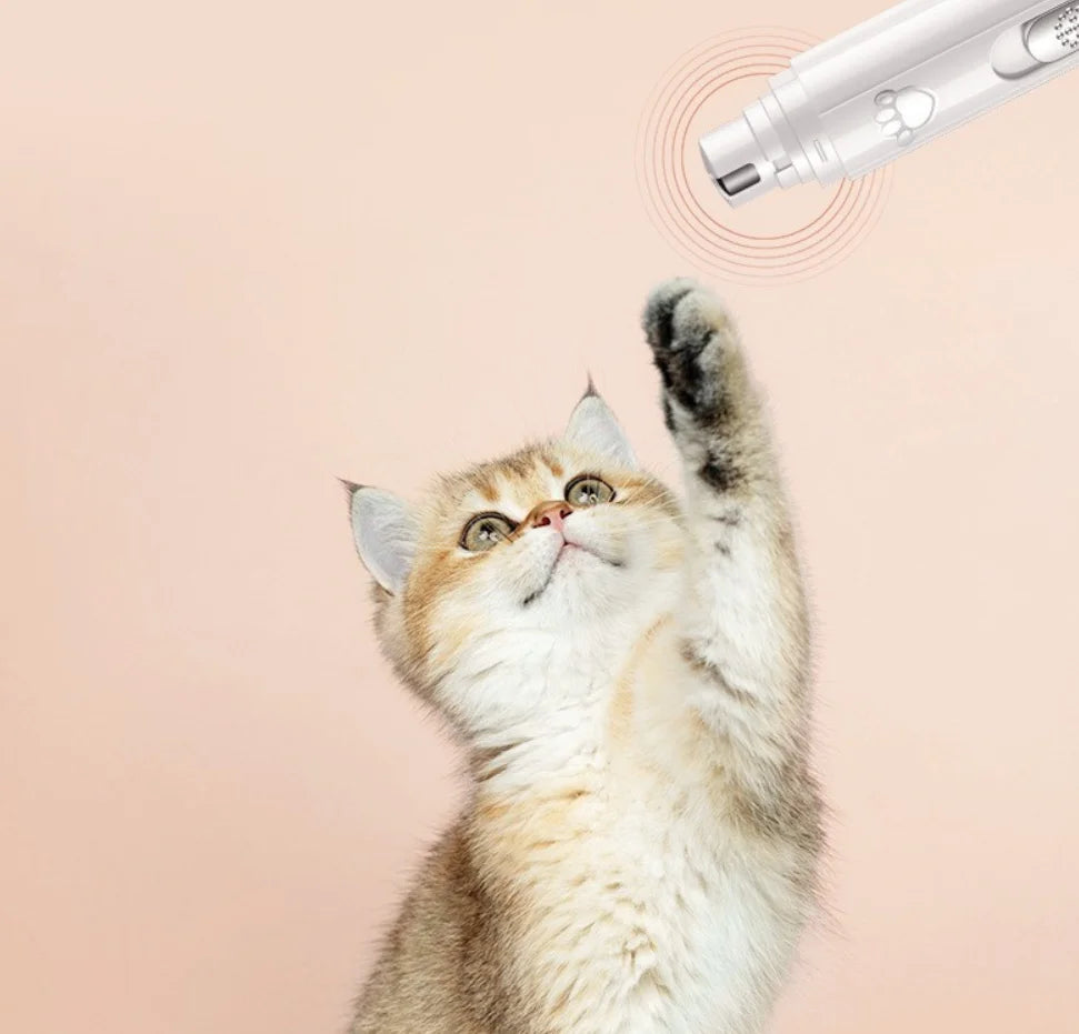 Lime électrique silencieuse pour griffes chien & chat — Soin indolore, lumière LED, rechargeable USB